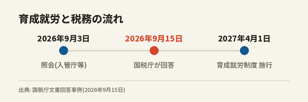 出入国在留管理庁等の照会から国税庁の回答、育成就労制度の施行までの流れを示したタイムライン図です。